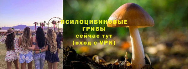 соль курить ск Вязьма