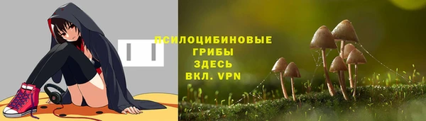 spice Вяземский
