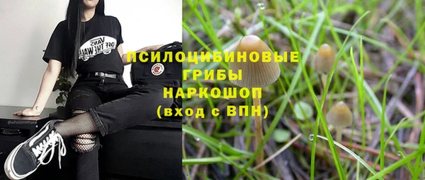 соль курить ск Вязьма