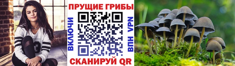 Галлюциногенные грибы Psilocybine cubensis  закладка  OMG tor  сайты даркнета клад  Севастополь 